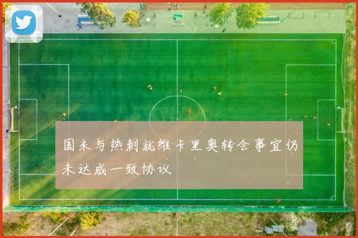 国米与热刺就维卡里奥转会事宜仍未达成一致协议