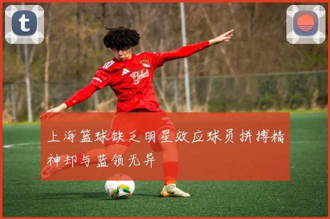 上海篮球缺乏明星效应球员拼搏精神却与蓝领无异